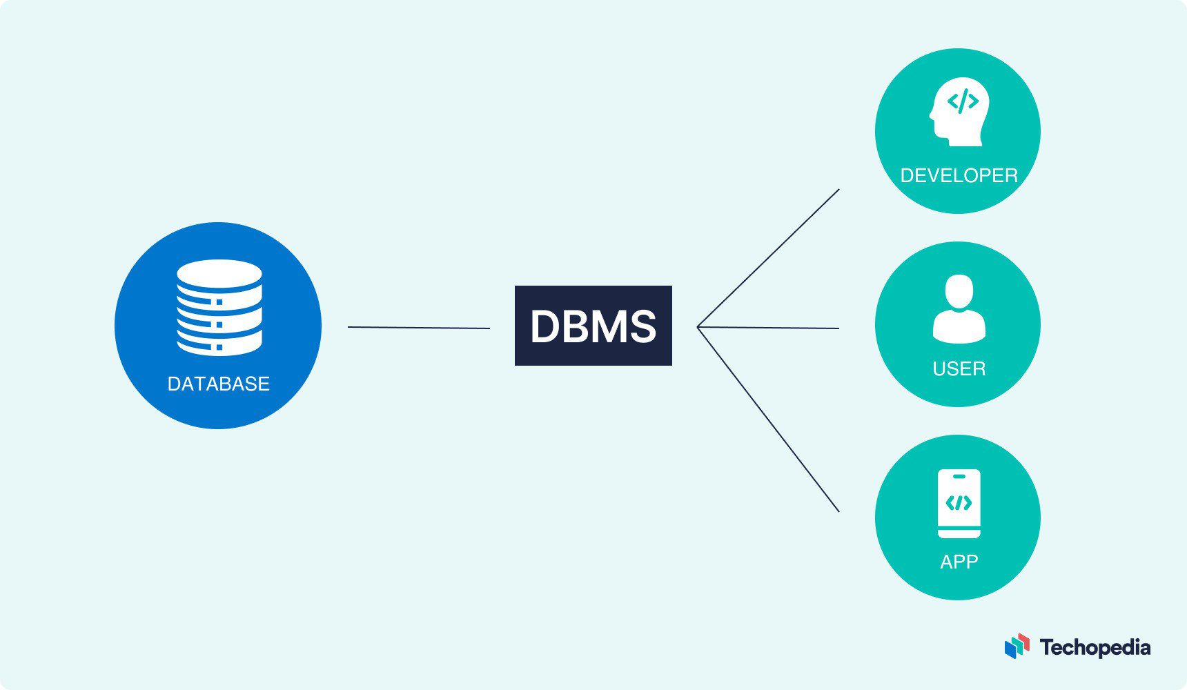 Database
