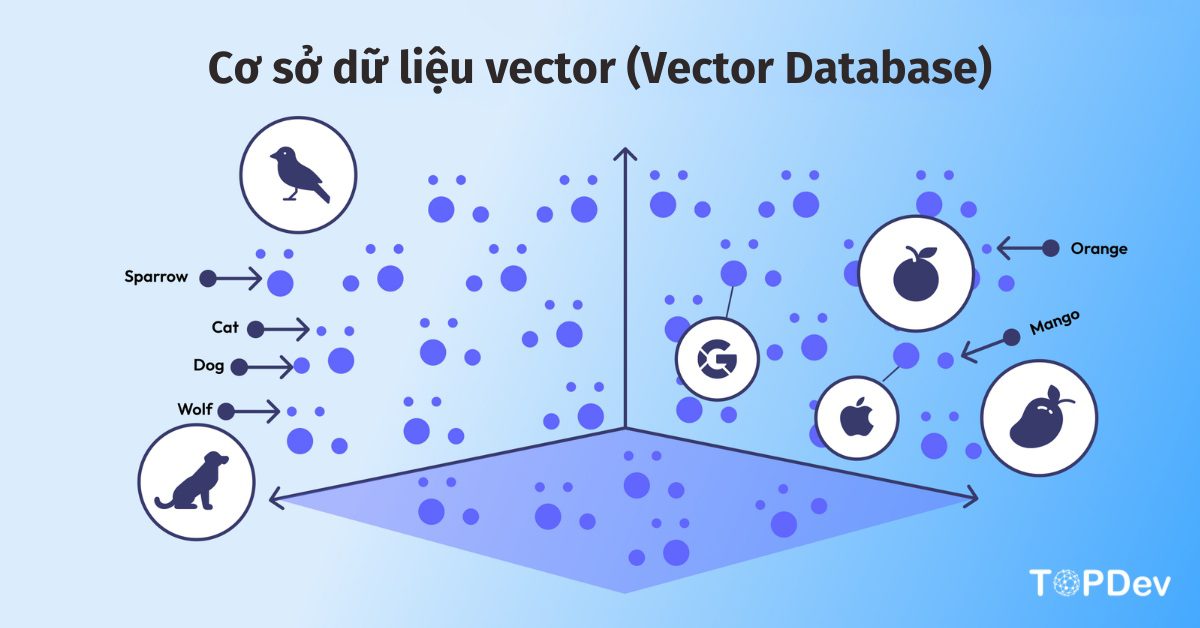 Cơ sở dữ liệu vector (Vector Database) – Cách sử dụng chi tiết